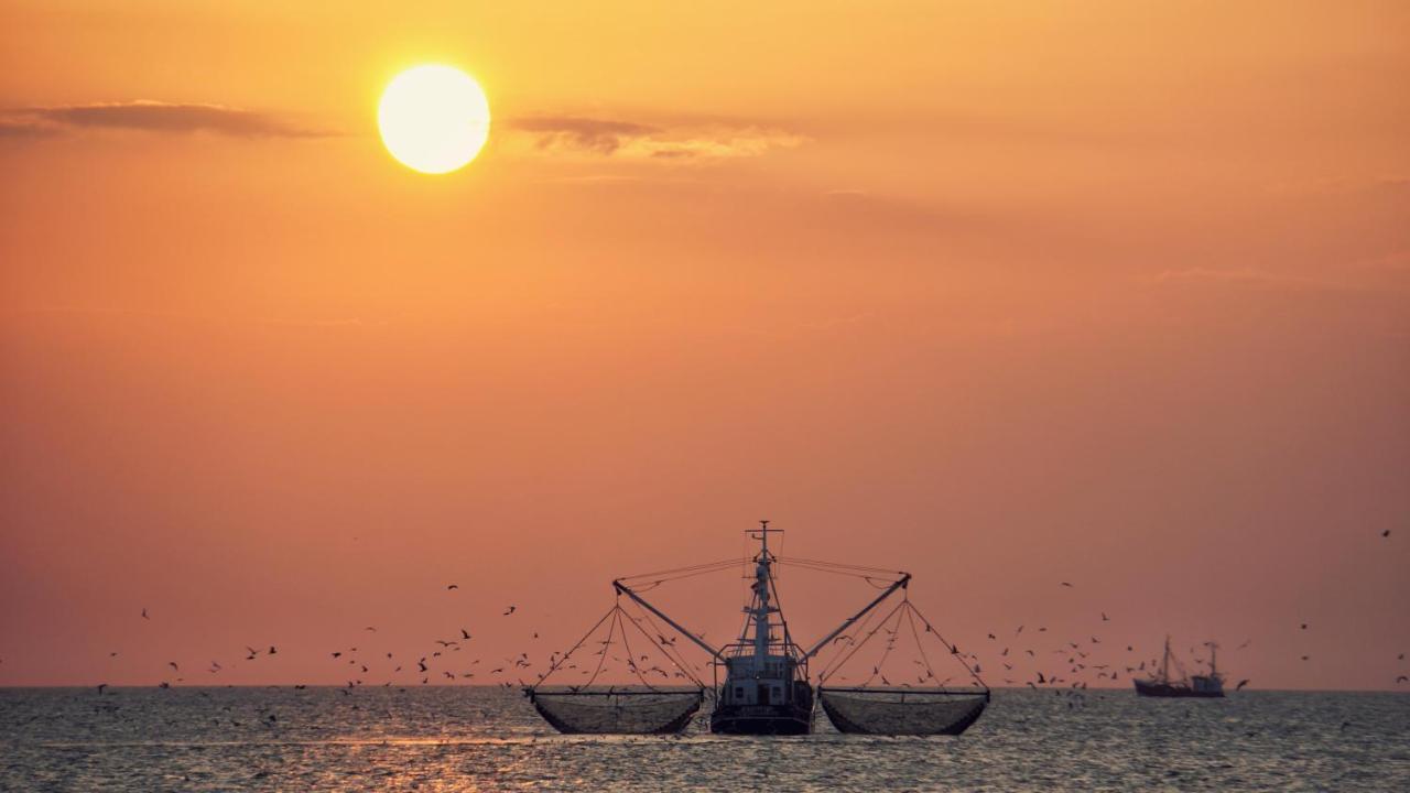Ferienhus #1 Nordfriesland Lägenhet Mildstedt Exteriör bild